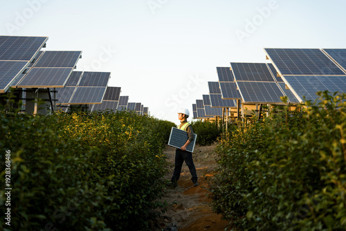 Photos Worker carrying a solar panel while inspecting a photovoltaic power station amid