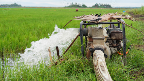 Agricultural Irrigation System Pumping Water into Lush Green Rice Paddy Field in Rural Area 