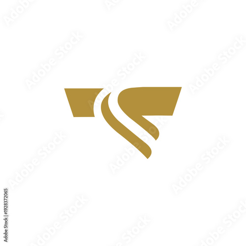 Minimal Innovative Initial T logo and TT logo. Letter T TT creative elegant Monogram. Premium Business logo icon. White color on black background. T TT