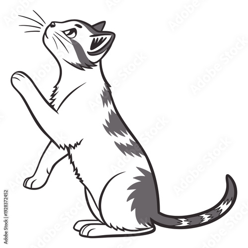 vector illustration of a cat looking and catching