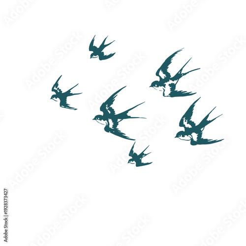 swallows japanese chinese vector ink traditional asian design isolated