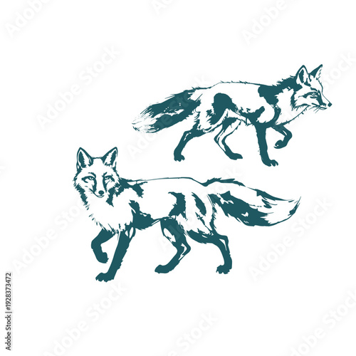 fox japanese chinese vector ink traditional asian design isolated