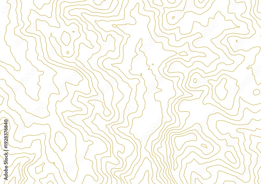 Fototapeta premium Curvas de nivel sobre fondo blanco. Mapa topográfico, cartografía.