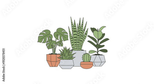 Collection of house plants in decorative pots against a clean white backdrop
