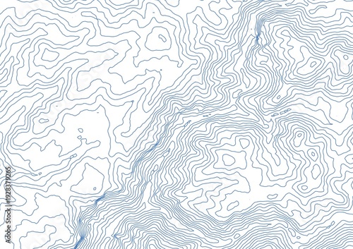 Curvas de nivel sobre fondo blanco. Mapa topográfico, cartografía.