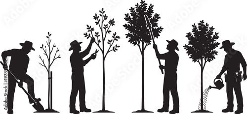 Silhouettes of gardeners tending to trees from planting to watering and pruning also transparent background