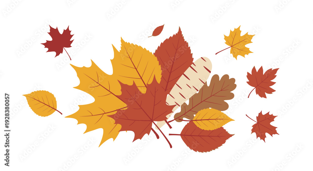 Fototapeta premium Autumnal foliage isolated illustration of colorful leaves for design
