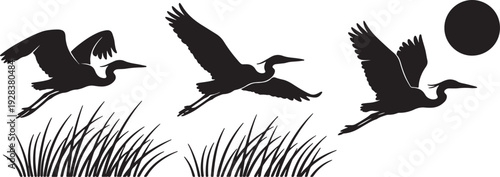 Three black silhouettes of herons in flight above tall grass with a black circle representing the sun or moon also transparent background