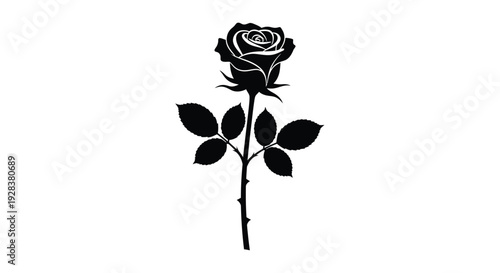 A striking black rose with detailed petals and a slender stem silhouette