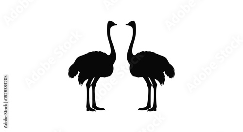 Two ostriches standing facing each other a striking black silhouette