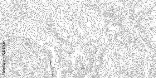 Mapa topográfico. Curvas de nivel. Cartografía. Curvas de nivel 