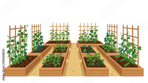 Raised garden beds with trellises and mulched soil flat illustration concept of sustainable backyard vegetable gardening