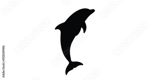 A leaping dolphin depicted in a stark black silhouette