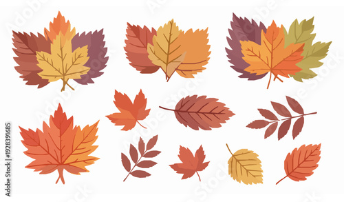 Watercolor fall autumn leaves vector set for seasonal design