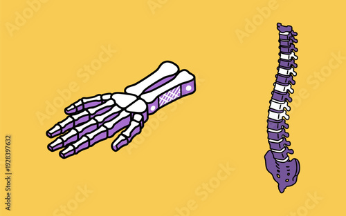 Stylized human hand bones and spine illustration on a yellow background