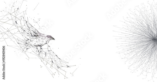 Digital Network Bird and Radial Data Burst Visualization Representing Connection, Communication and AI
