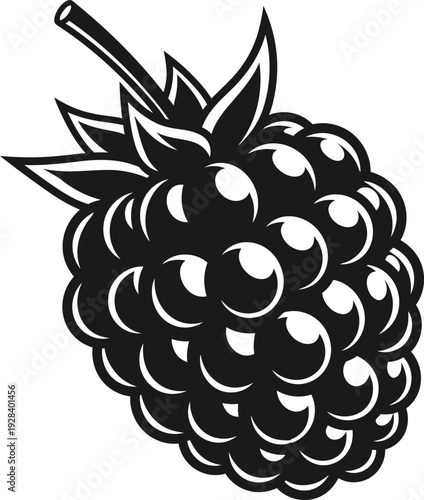 Blackberry fruit illustration in black and white