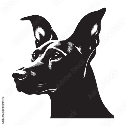 Harrier Dog – Energetic Scent Hound, Loyal Family Companion, Strong Hunting Breed, Friendly Temperament, Athletic Build, Medium Size, Excellent Tracker, Outdoor Loving, Intelligent.