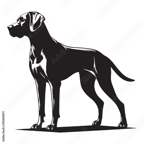 Harrier Dog – Energetic Scent Hound, Loyal Family Companion, Strong Hunting Breed, Friendly Temperament, Athletic Build, Medium Size, Excellent Tracker, Outdoor Loving, Intelligent.
