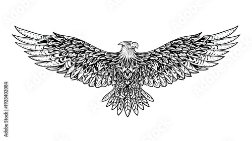 Detailed illustration of a bird, wings spread wide, intricate feather design. White background