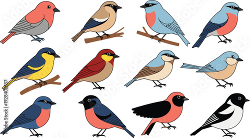 Colorful Songbird Illustration Set with Perching Garden Birds in Flat Cartoon Style for Nature and Wildlife Design