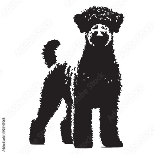 Hungarian Pumi Dog – Energetic Herding Breed, Curly Coat, Alert Ears, Intelligent Working Companion, Agile Farm Dog, Loyal Family Pet, Playful Nature, Lively Personality, Medium Size.