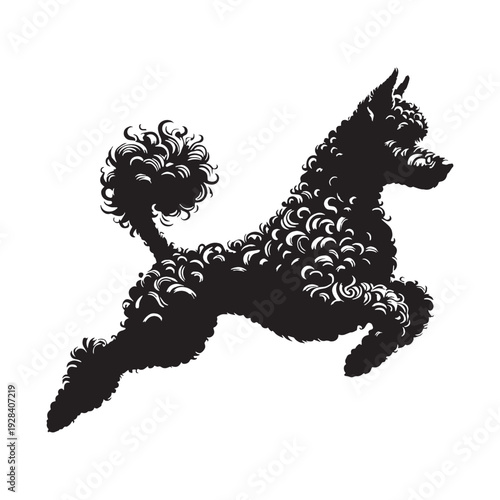 Hungarian Pumi Dog – Energetic Herding Breed, Curly Coat, Alert Ears, Intelligent Working Companion, Agile Farm Dog, Loyal Family Pet, Playful Nature, Lively Personality, Medium Size.
