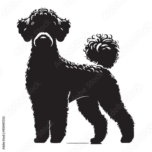 Hungarian Pumi Dog – Energetic Herding Breed, Curly Coat, Alert Ears, Intelligent Working Companion, Agile Farm Dog, Loyal Family Pet, Playful Nature, Lively Personality, Medium Size.
