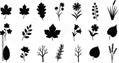 Collection of various leaf and flower silhouettes