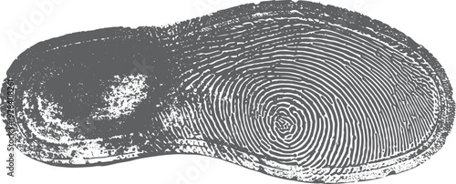 Detailed grey fingerprint pattern on white background