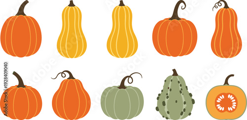 Pumpkin varieties collection with orange and green squash isolated on white background flat vector illustration set