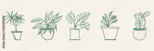 Potted plant hand drawn line art collection.minimal line art indoor plants.botanical vector illustration.Indoor plants collection.