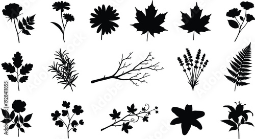 Collection of various black silhouette leaves and flowers