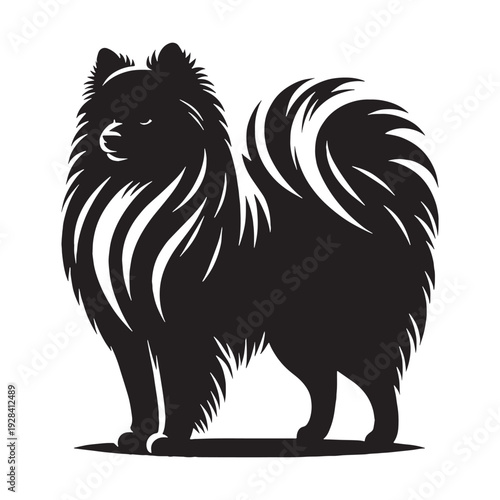 Japanese Spitz Dog – Fluffy White Companion, Playful Personality, Loyal Family Pet, Intelligent Small Breed, Cheerful Temperament, Soft Double Coat, Alert Expression, Friendly Nature, Adaptable.