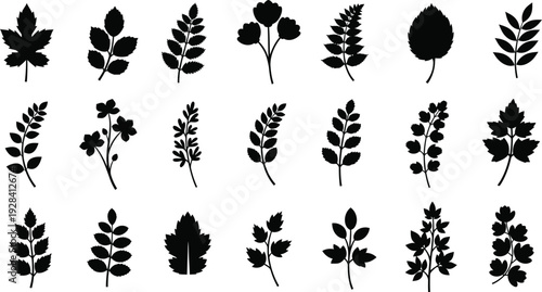 Collection of various leaf and plant silhouettes