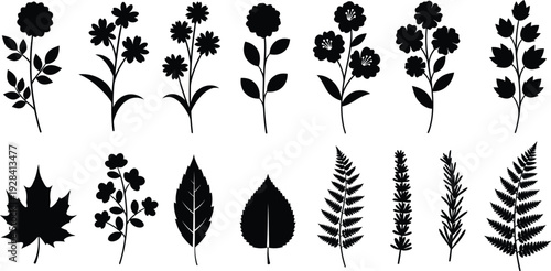 Collection of various black silhouette flowers and leaves