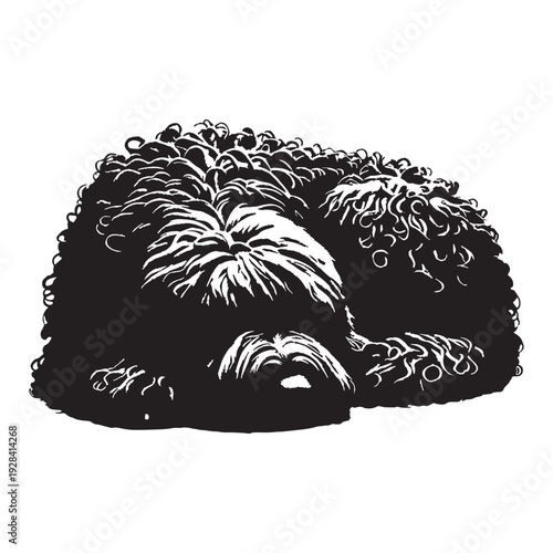 Komondor Dog – Majestic Hungarian Livestock Guardian, Distinctive Corded Coat, Protective Nature, Loyal Family Protector, Powerful Build, Intelligent Working Breed, Brave Temperament, Farm Defend.