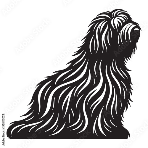Komondor Dog – Majestic Hungarian Livestock Guardian, Distinctive Corded Coat, Protective Nature, Loyal Family Protector, Powerful Build, Intelligent Working Breed, Brave Temperament, Farm Defend.