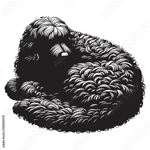 Komondor Dog – Majestic Hungarian Livestock Guardian, Distinctive Corded Coat, Protective Nature, Loyal Family Protector, Powerful Build, Intelligent Working Breed, Brave Temperament, Farm Defend.