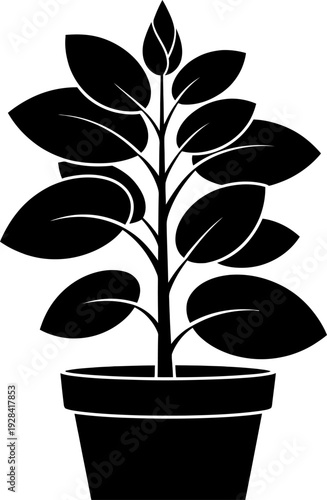 Black and white illustration of a potted plant with leaves