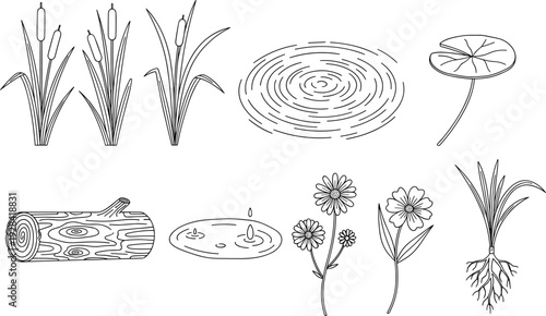Hand drawn pond and wetland elements set with reeds, water ripples, lily pads, logs, flowers, and roots in botanical line art vector style