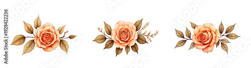 Elegant vintage peach roses. Ideal for wedding invitations, banners, borders, and  graphic designs.