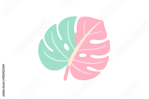 A stylized monstera deliciosa leaf illustration featuring a split color design of mint green and pink with cream veins, isolated against a solid black background for a modern look.