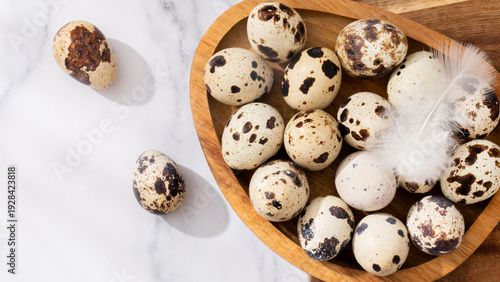 Speckled quail eggs nestled with a delicate feather, evoking spring rebirth, culinary artistry, and Lunar New Year celebrations