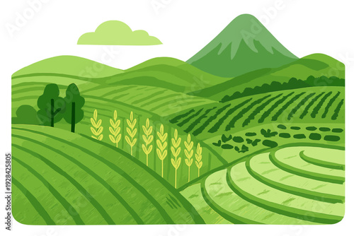 A stylized green illustration of a rural landscape featuring terraced fields, rolling hills, and a mountain peak under a single cloud. Various crops are shown in organized rows.
