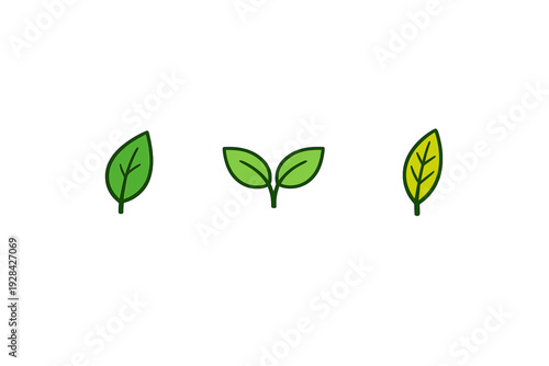Three simple green leaf illustrations are displayed against a solid black background. The set includes a single leaf, a pair of leaves on a stem, and a single yellowish-green leaf.
