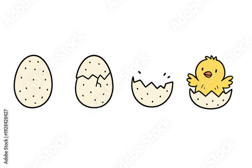 A simple cartoon illustration showing the four stages of a chick hatching from a speckled egg, starting from a whole egg to a yellow bird emerging from the shell on a black background.
