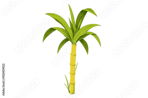 A digital illustration of a single sugarcane plant featuring a yellow segmented stalk and long green leaves at the top, set against a solid black background.