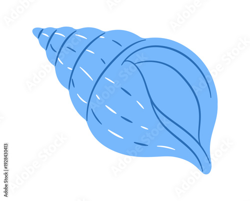 Blue cone seashell, flat style isolated. Marine vector clipart perfect for beach, summer, nautical design, summer branding, beach flyers, ocean themed designs, coastal decor. Vector illustration.