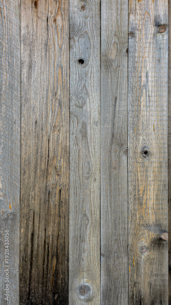 Fototapeta premium A background of aged wooden planks – the texture of natural wood